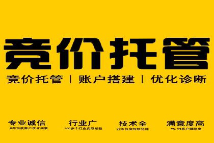 SEM竞价代运营：案例见证品牌知名度提升